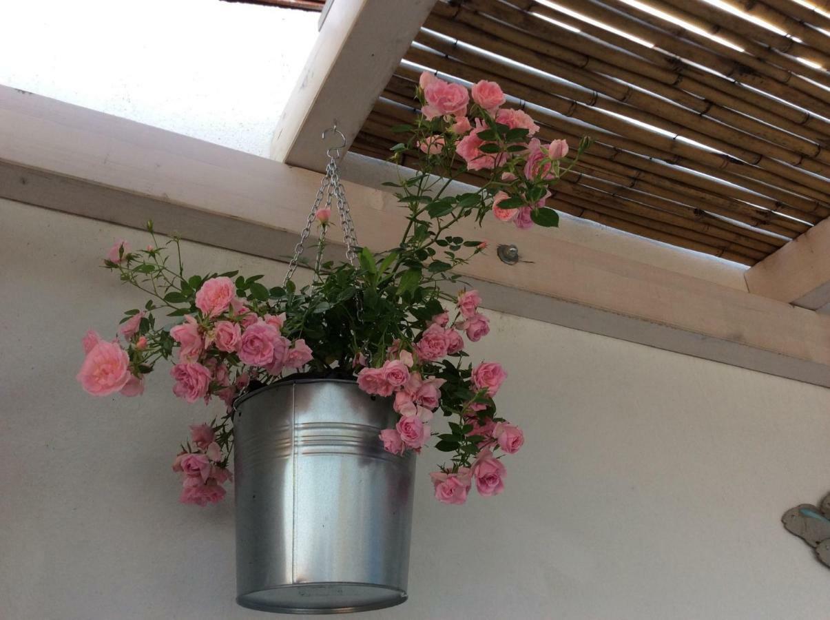 4 In Piazza Bed & Breakfast ซอร์โซ ภายนอก รูปภาพ